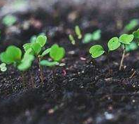 水污染防治攻堅(jiān)進(jìn)入落地期 五大戰(zhàn)役專啃“硬骨頭”