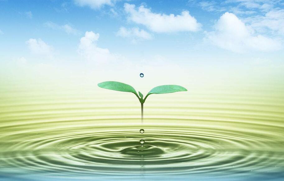 多重壁壘與千億契機并存：污泥處置如何實現彎道超車