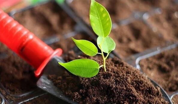 環(huán)資委：土壤污染防治法今年有望頒布 建議將長江保護法列入立法規(guī)劃