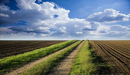 2017年土壤修復(fù)行業(yè)發(fā)展評述和2018年發(fā)展展望