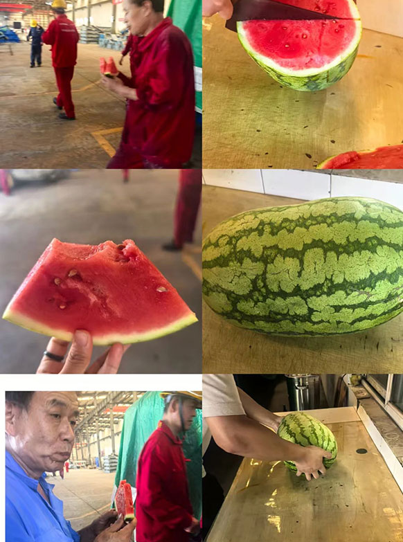 西安科迅機(jī)械